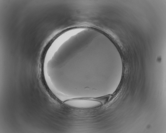 X0000116441414201001191522