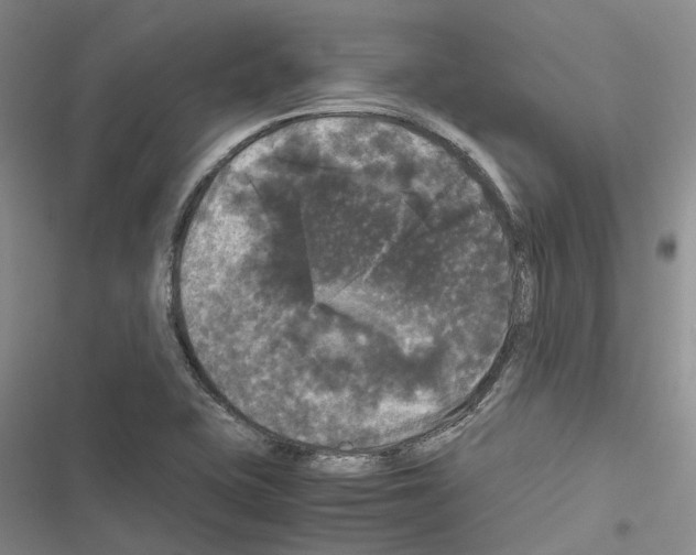 X0000116441415201001191522