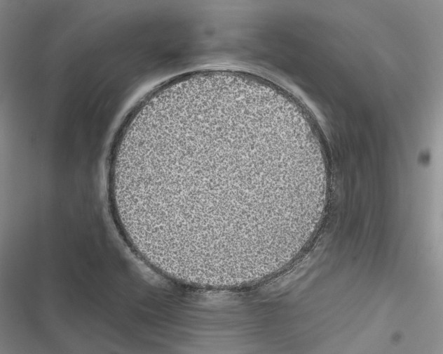 X0000116441416201001191522