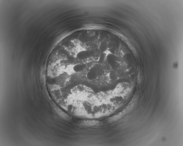 X0000116441417201001191522