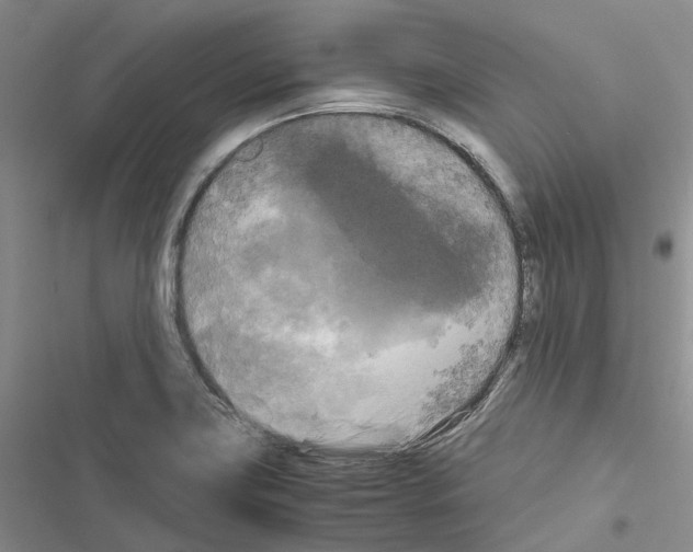 X0000116441419201001191522