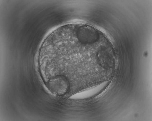 X0000116441421201001191522