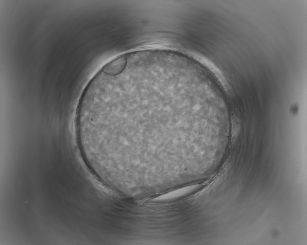 X0000116441423201001191522