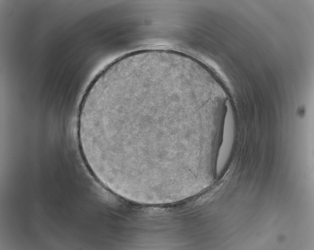 X0000116441424201001191522