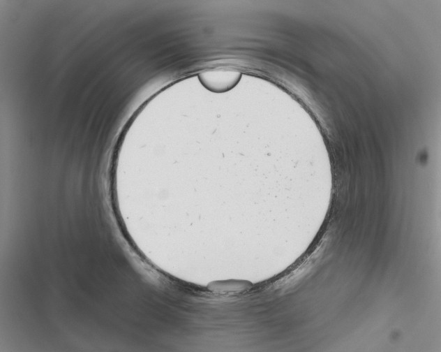 X0000116441426201001191522