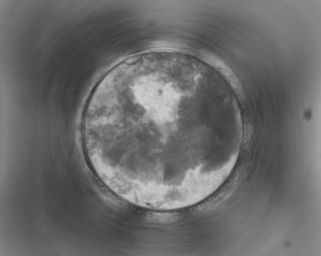 X0000116441427201001191522