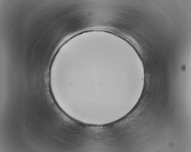 X0000116441428201001191522