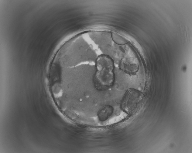 X0000116441429201001191522