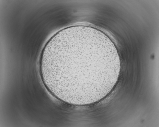 X0000116441430201001191522