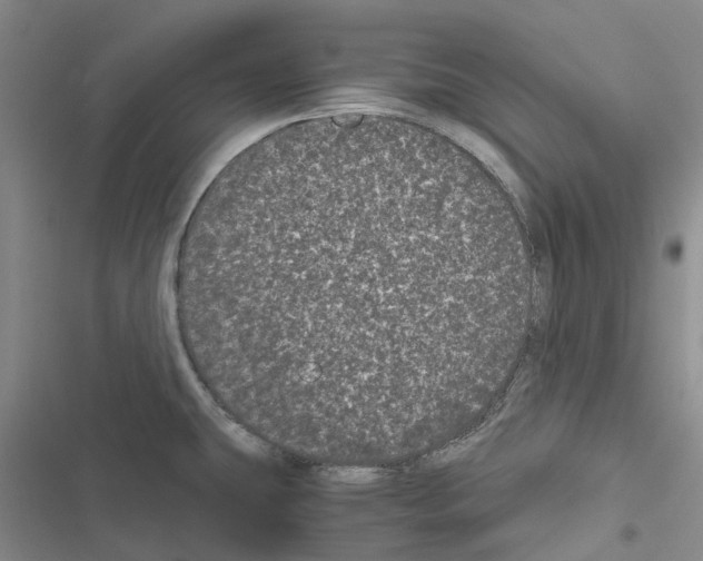 X0000116441431201001191522