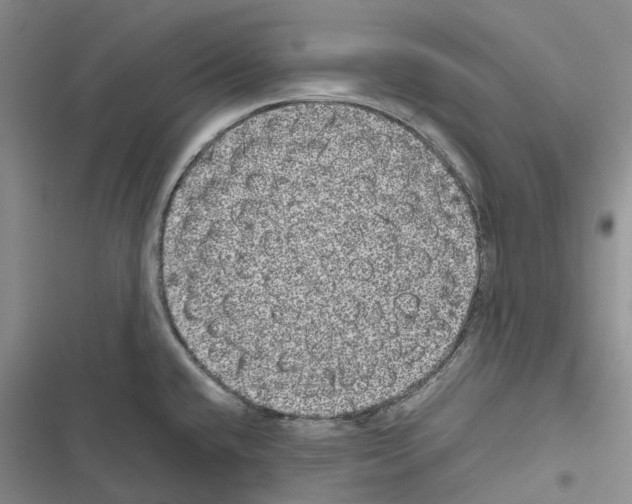 X0000116441432201001191522