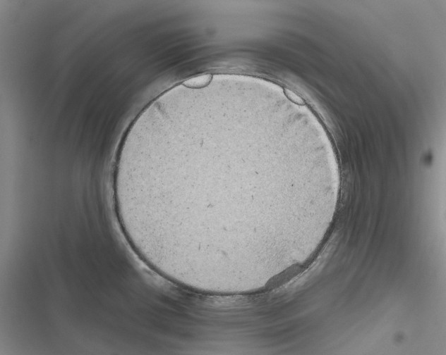 X0000116441434201001191522