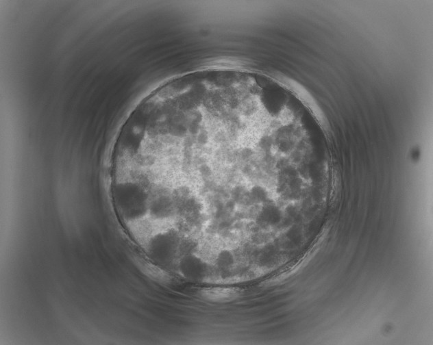 X0000116441435201001191522