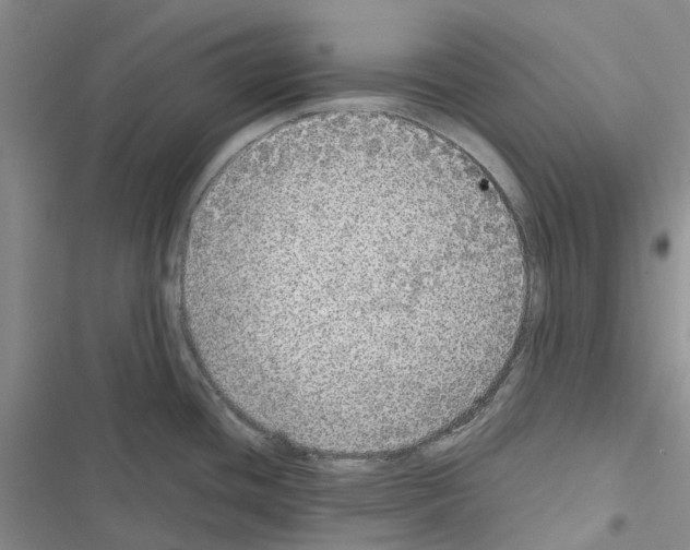 X0000116441436201001191522