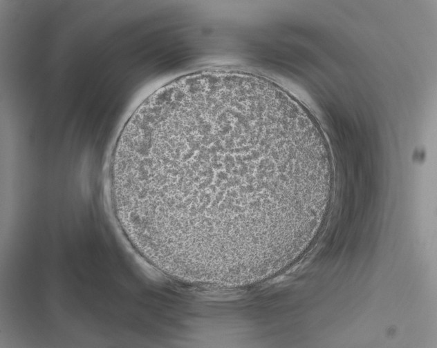 X0000116441440201001191522