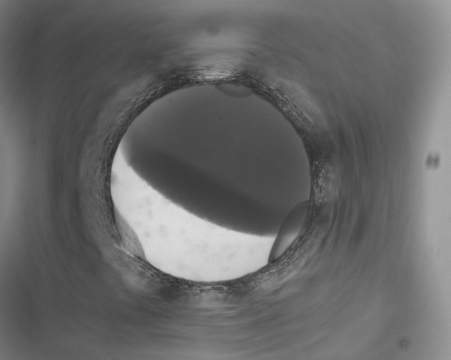 X0000116441441201001191522