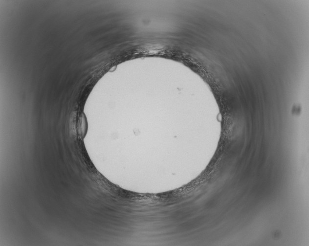 X0000116441442201001191522