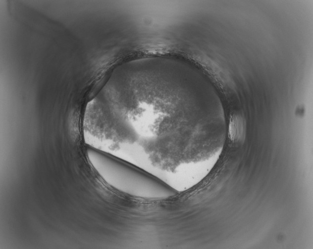 X0000116441444201001191522