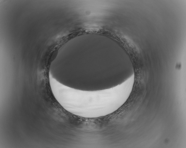 X0000116441445201001191522