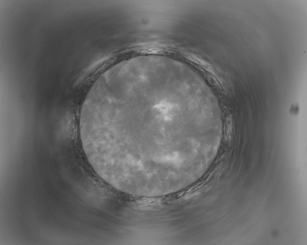 X0000116441446201001191522