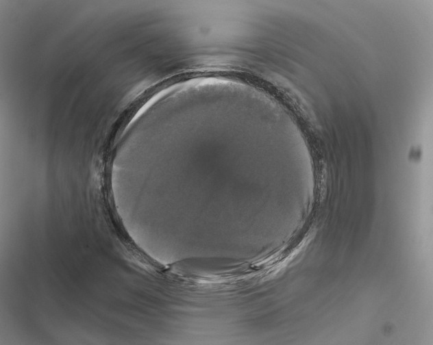 X0000116441449201001191522