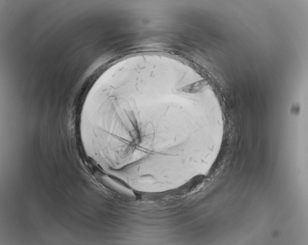 X0000116441450201001191522