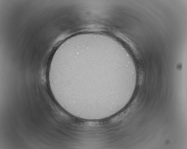 X0000116441451201001191522