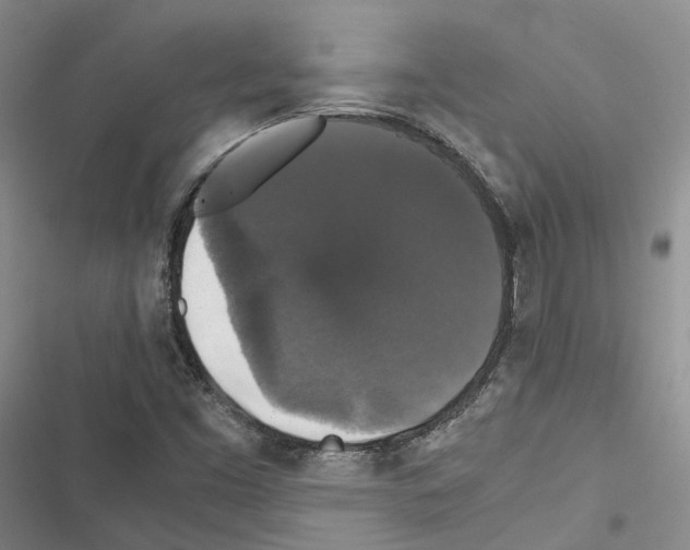 X0000116441453201001191522