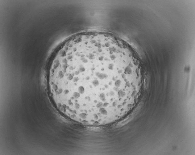 X0000116441454201001191522