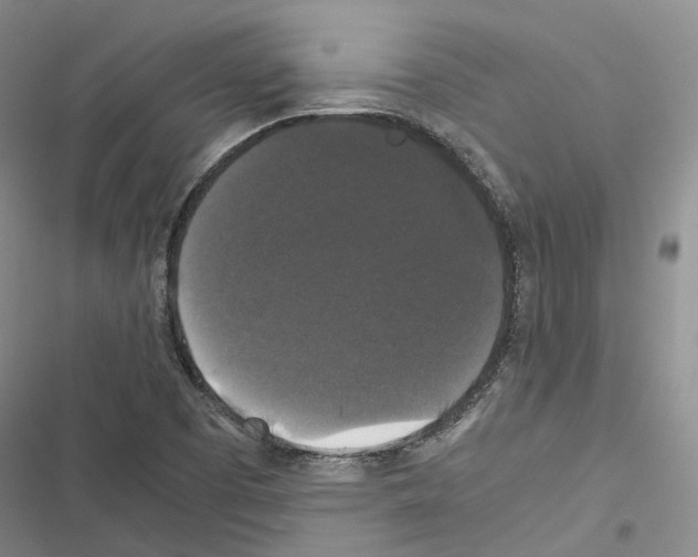 X0000116441457201001191522