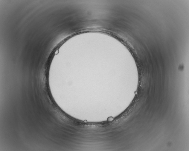 X0000116441458201001191522