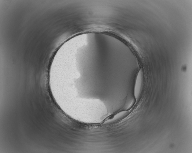 X0000116441459201001191522