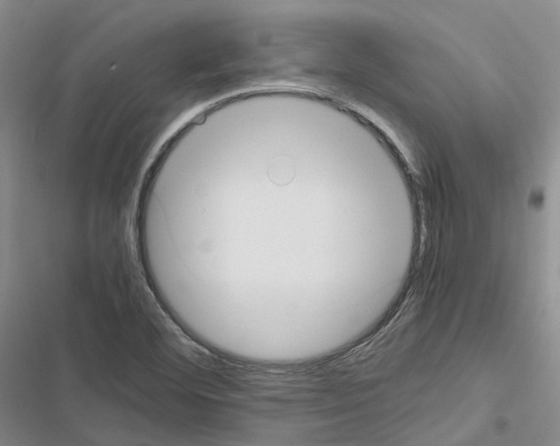 X0000116441460201001191522