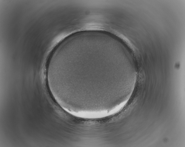 X0000116441461201001191522