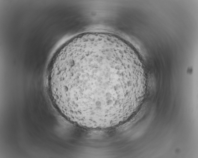 X0000116441462201001191522