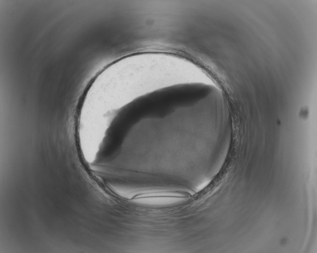 X0000116441463201001191522