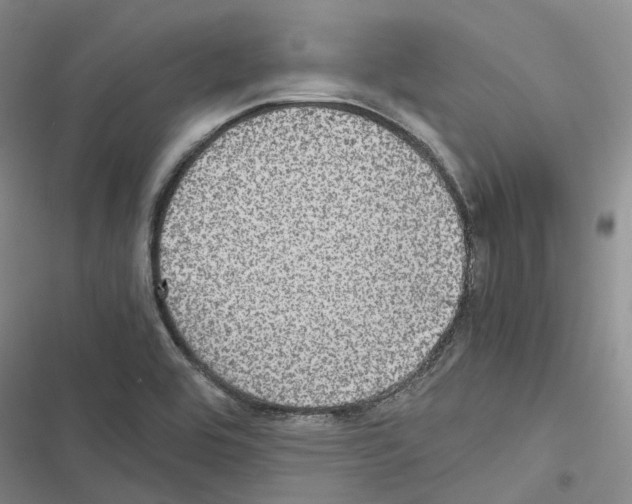 X0000116441464201001191521