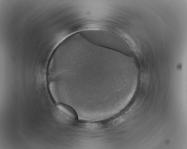 X0000116441465201001191521