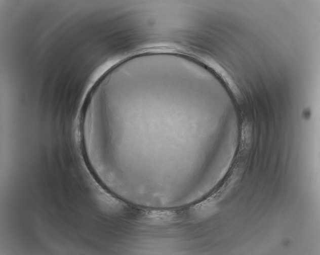 X0000116441466201001191521