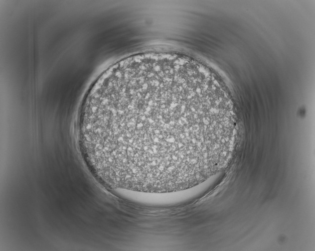 X0000116441467201001191521