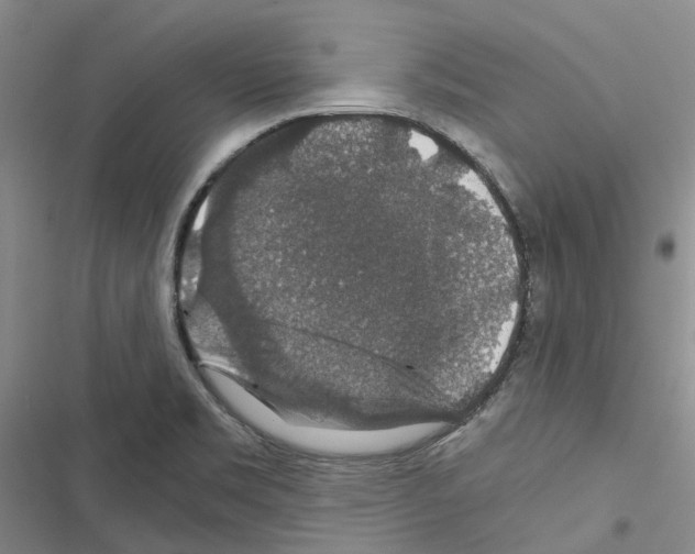 X0000116441469201001191521