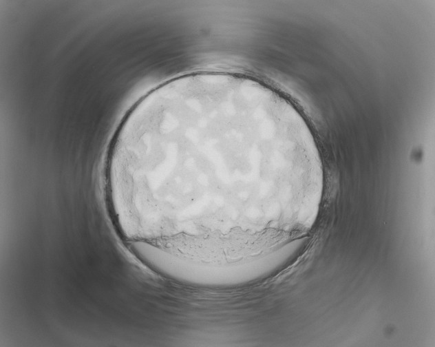 X0000116441471201001191521