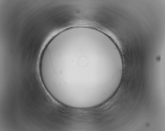 X0000116441472201001191521