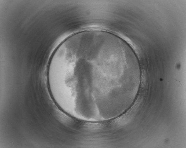 X0000116441474201001191521