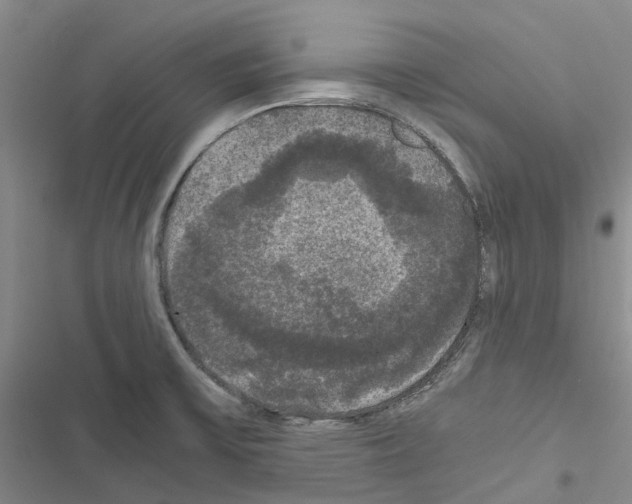 X0000116441475201001191521