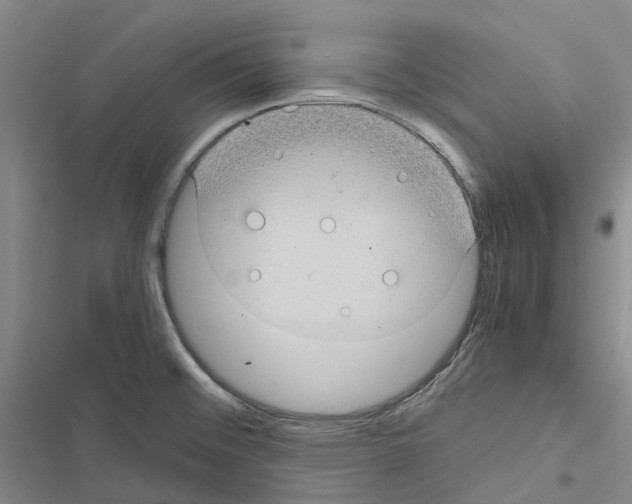 X0000116441476201001191521