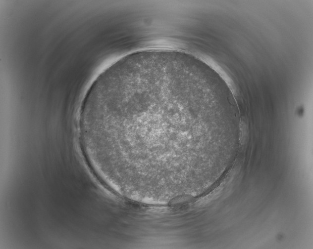 X0000116441477201001191521