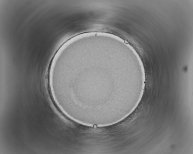 X0000116441479201001191521