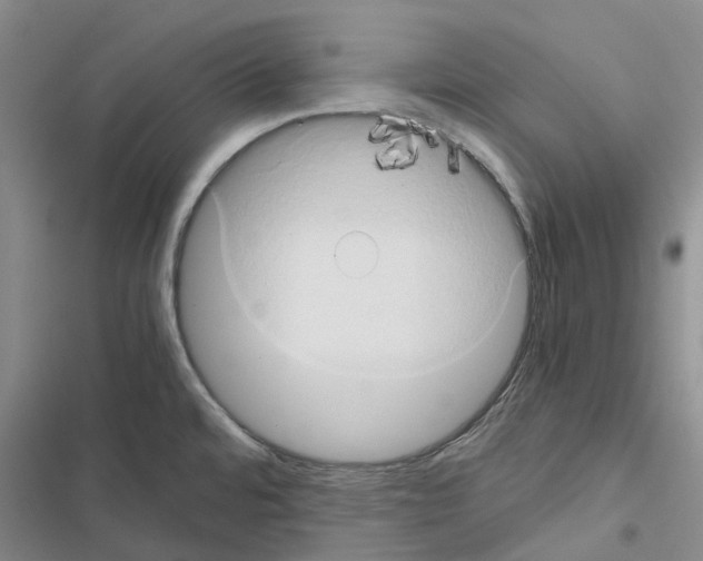 X0000116441480201001191521