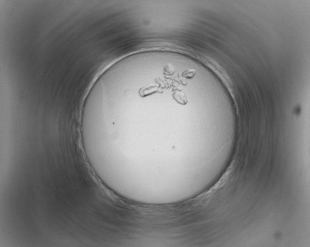 X0000116441481201001191521